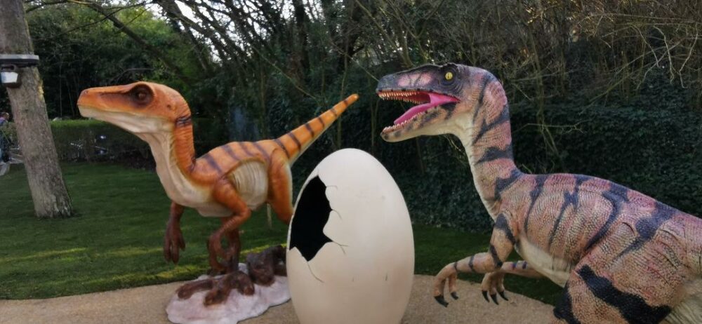 dinosaures oeuf brisé