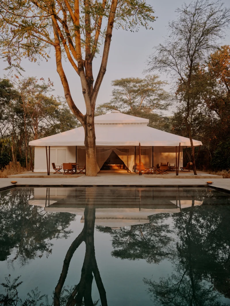 Aman : le campement exclusif de l'Aman-i-Khás