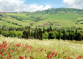 La Toscane en 2026, voyage hors saison entre nature, culture et émotions