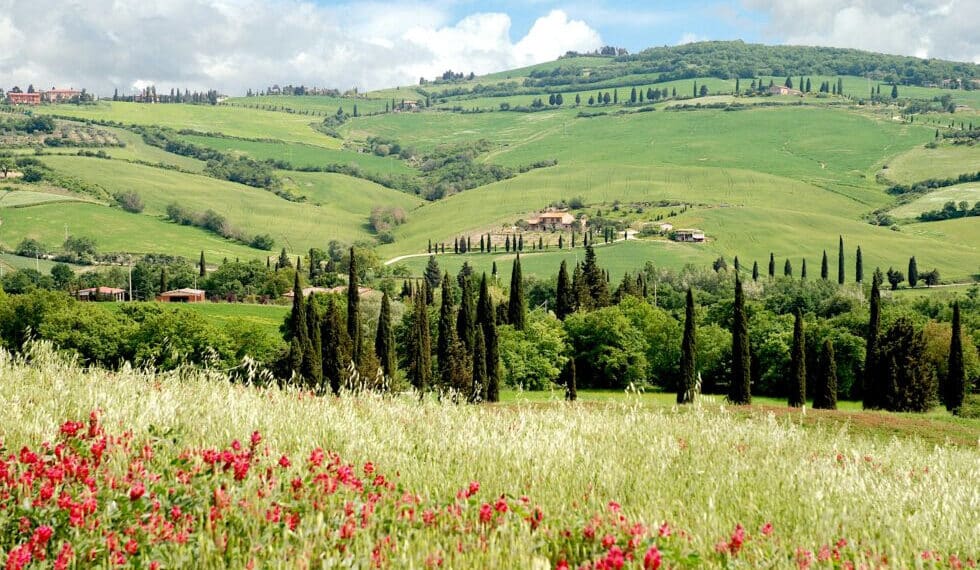 La Toscane en 2026, voyage hors saison entre nature, culture et émotions