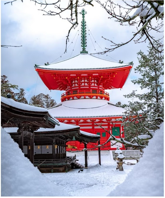 ANA JAPON COMPAGNIE AERIENNE