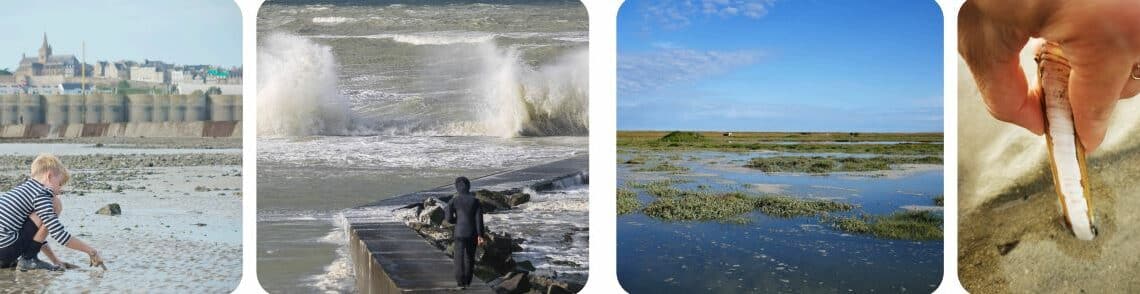 Mer plage vagues coquillages enfant sable