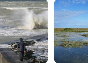 Mer plage vagues coquillages enfant sable