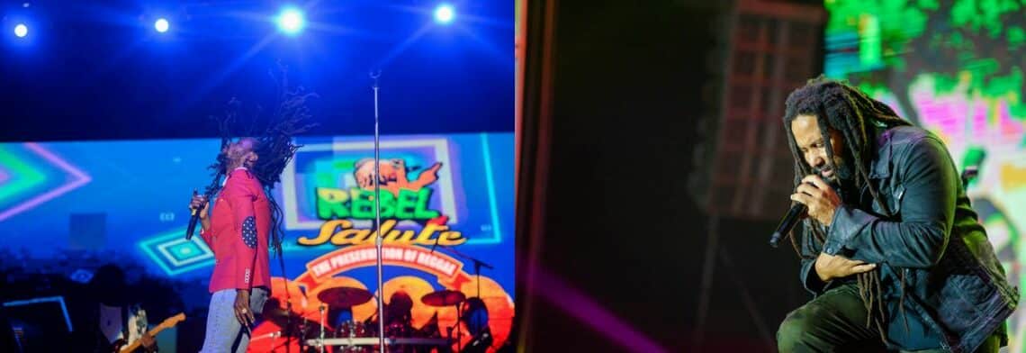 chanteur concert scène