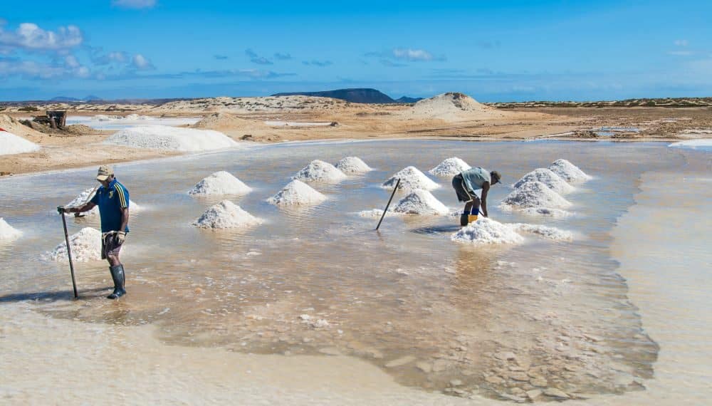 récolte du sel sur la plage