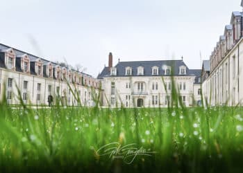 Herbe avec gouttes de rosé au premier plan et bâtiment d'une château rann issance derrière sous ciel blanc