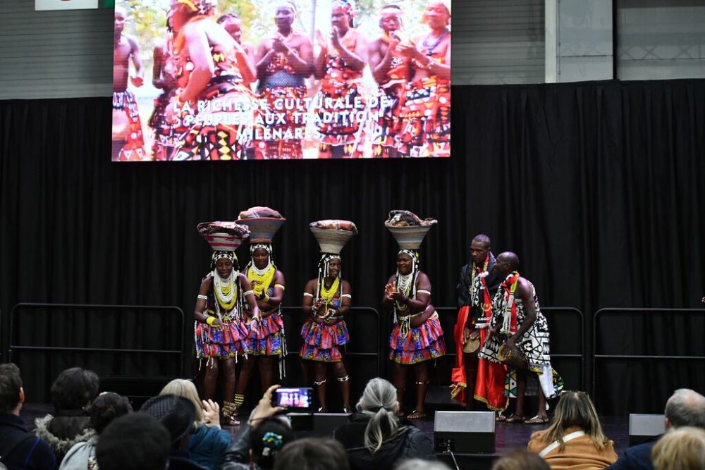 spectacle danse africaine