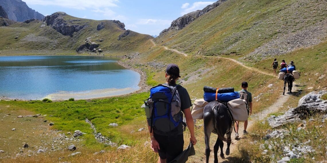 PRINTEMPS DE L’ÂNE 2026