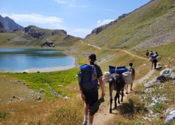 PRINTEMPS DE L’ÂNE 2026