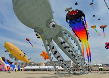 Cerfs-volants Berck-sur-Mer