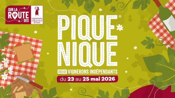 Pique Nique dans les vignes