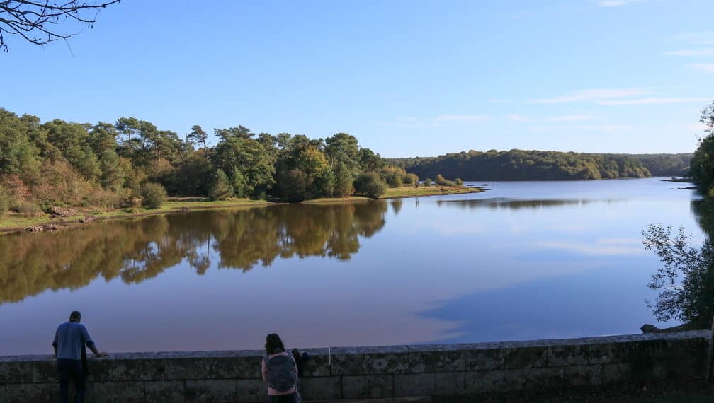 lac forêts