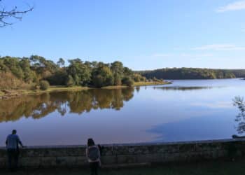 lac forêts