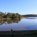 lac forêts