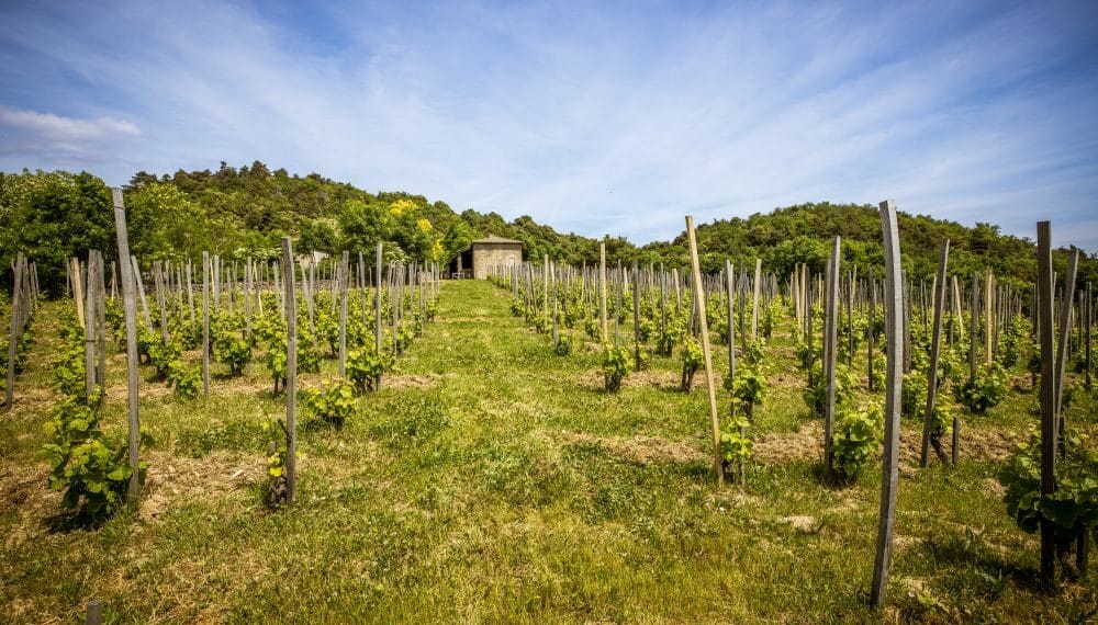 Auberge du Pin-©Epicurian