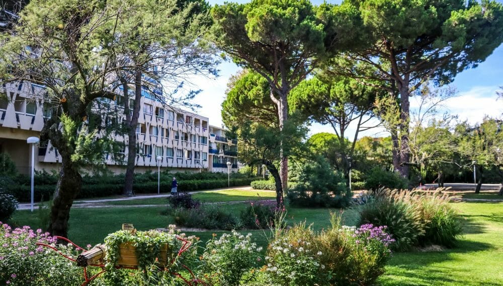 bâtiment blanc arbres fleurs La grande motte