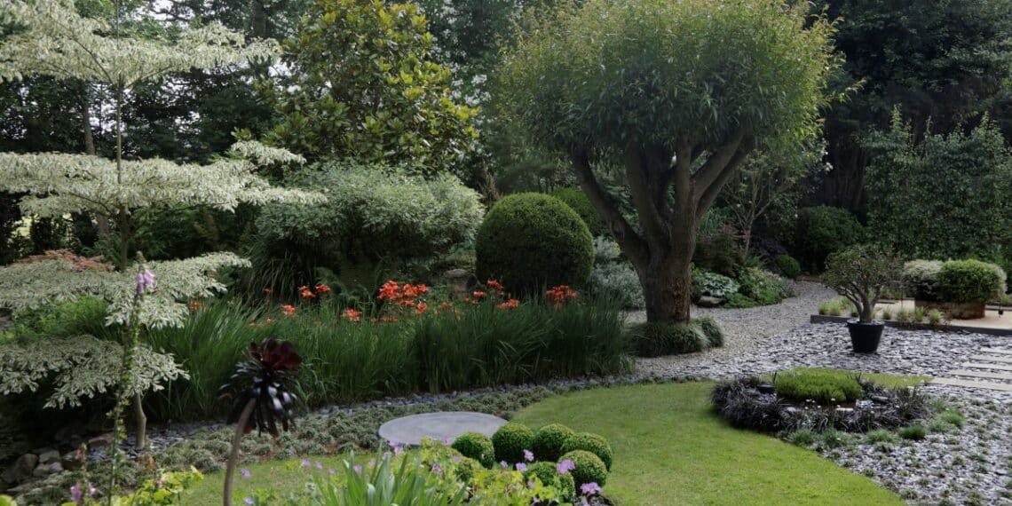 parc jardin fleurs arbres