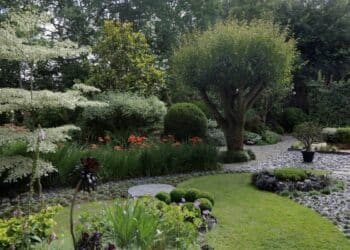 parc jardin fleurs arbres