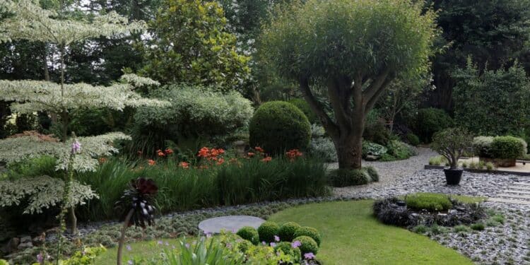 parc jardin fleurs arbres
