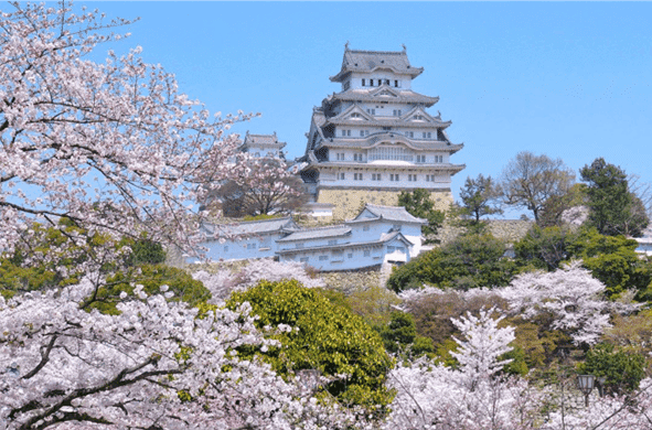 Accueillir le printemps à Hyōgo