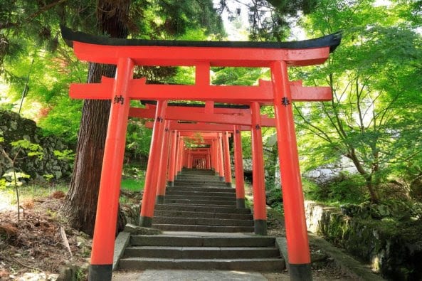 Accueillir le printemps à Hyōgo