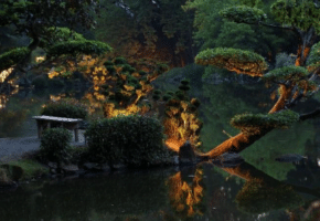 Floraisons printanières au Parc Oriental de Maulévrier