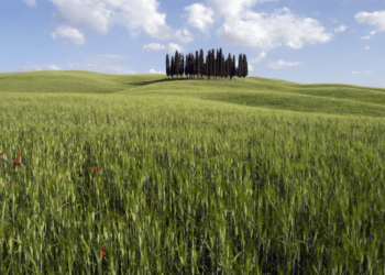 Toscane, l’art de voyager autrement