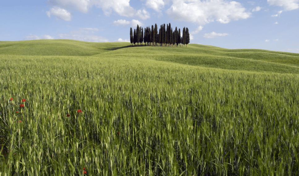 Toscane, l’art de voyager autrement