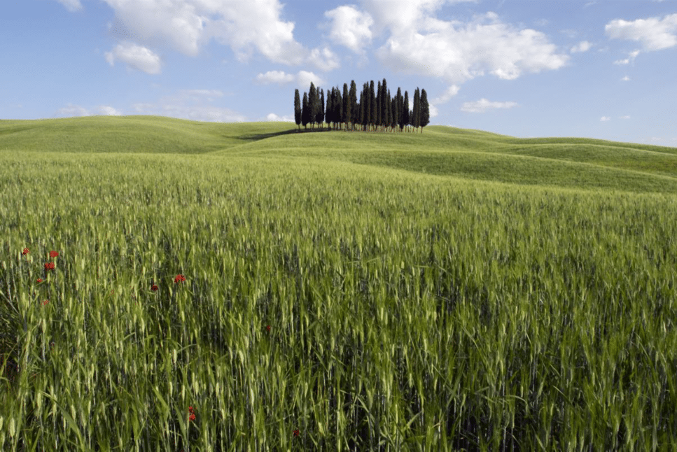 Toscane, l’art de voyager autrement