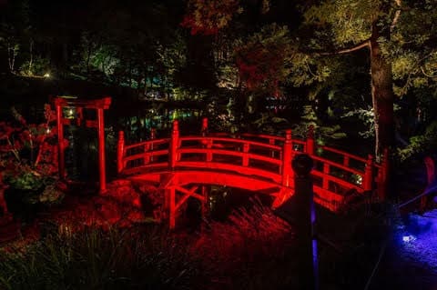 Floraisons printanières au Parc Oriental de Maulévrier