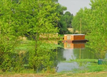 cabane sur l'eau forêts