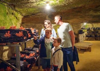 couple avec enfants visitant une grotte