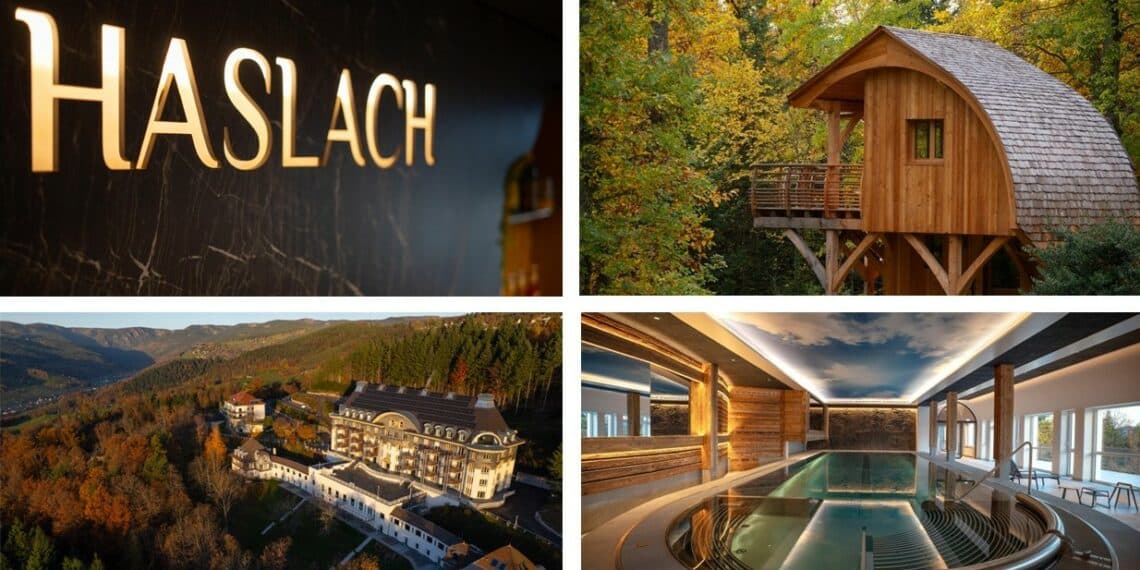 piscine spa cabane en bois domaine dans la forêt