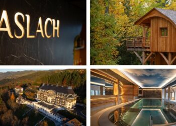 piscine spa cabane en bois domaine dans la forêt