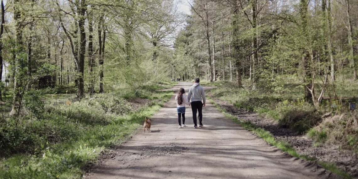 couple promenant son chien en forêt