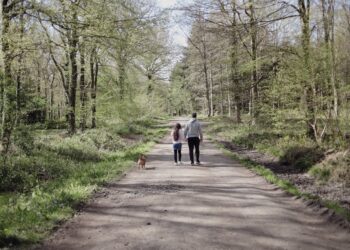 couple promenant son chien en forêt