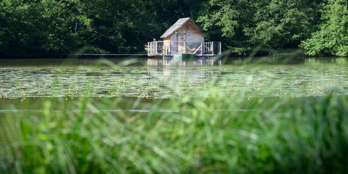 Une cabane en bois dans la végétation et sur l'eau