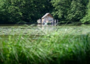 Une cabane en bois dans la végétation et sur l'eau
