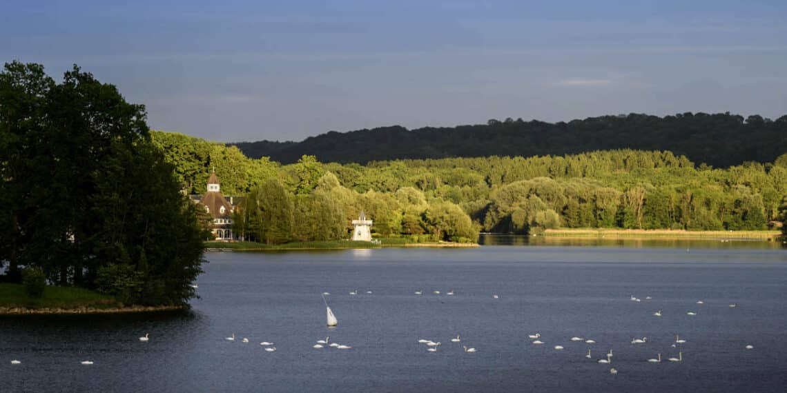 Paysage naturelle avec lac