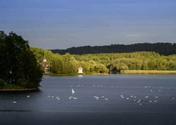 Paysage naturelle avec lac