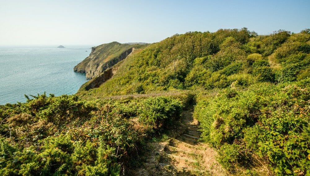 verdure mer chemin
