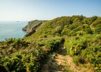 verdure mer chemin