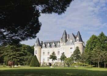 Chateau-des-Tesnieres© Franck Hamel