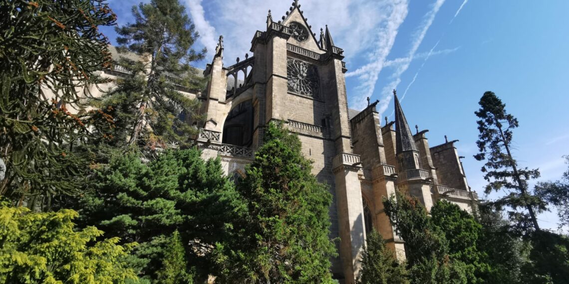 cathédrale clocher jardin arbres ciel bleu