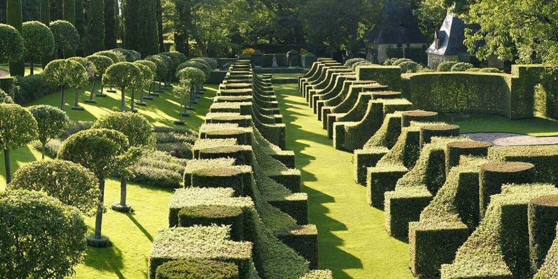 jardins buissons taillés