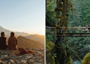 nature une homme et une femme de dos crépuscule pont forêt