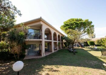 bâtiment extérieur jardin arbre