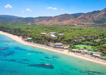 mer plage resort arbres piscines