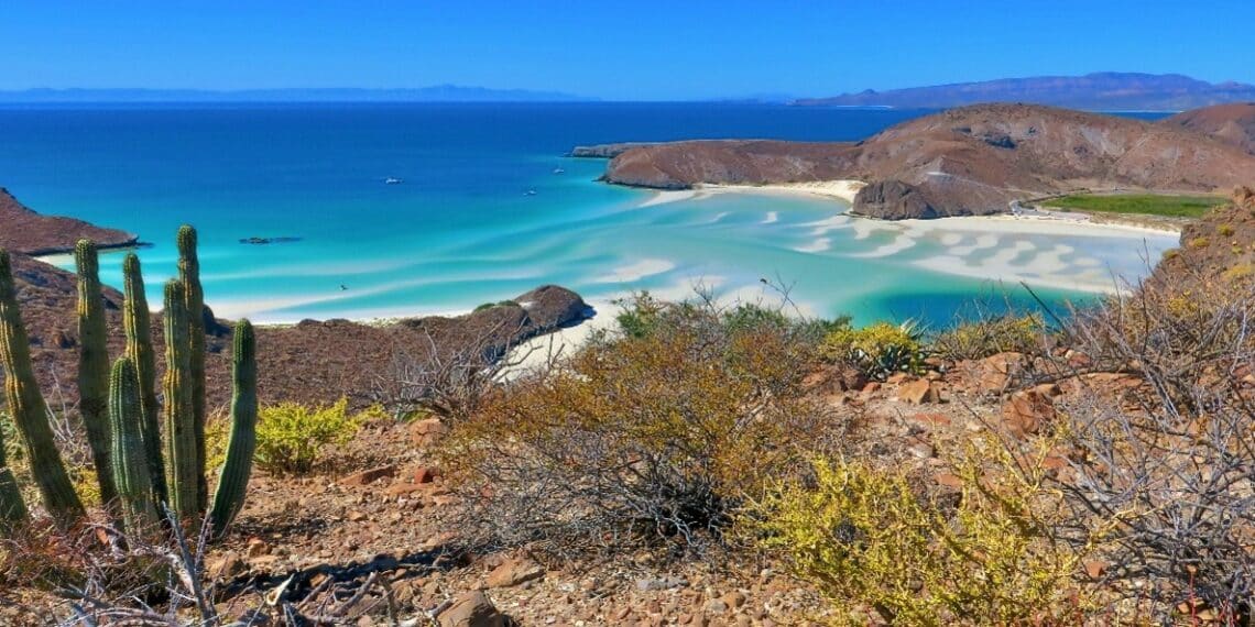 mer plage cactus