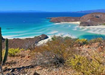 mer plage cactus